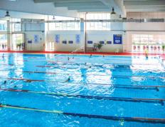 经常游泳，游泳池的氯对人体的危害大吗？
