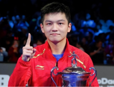 樊振东再登巅峰，17岁法国少年勇夺冠军成最年轻前十新星  -168体育资讯