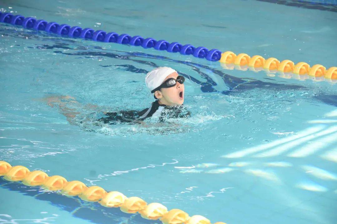 【聚焦】“泳”往直前！荣昌首届中小学生游泳比赛举行