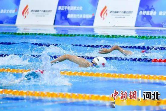 中国新闻网 | 河北省第十六届运动会青少组游泳比赛收官
