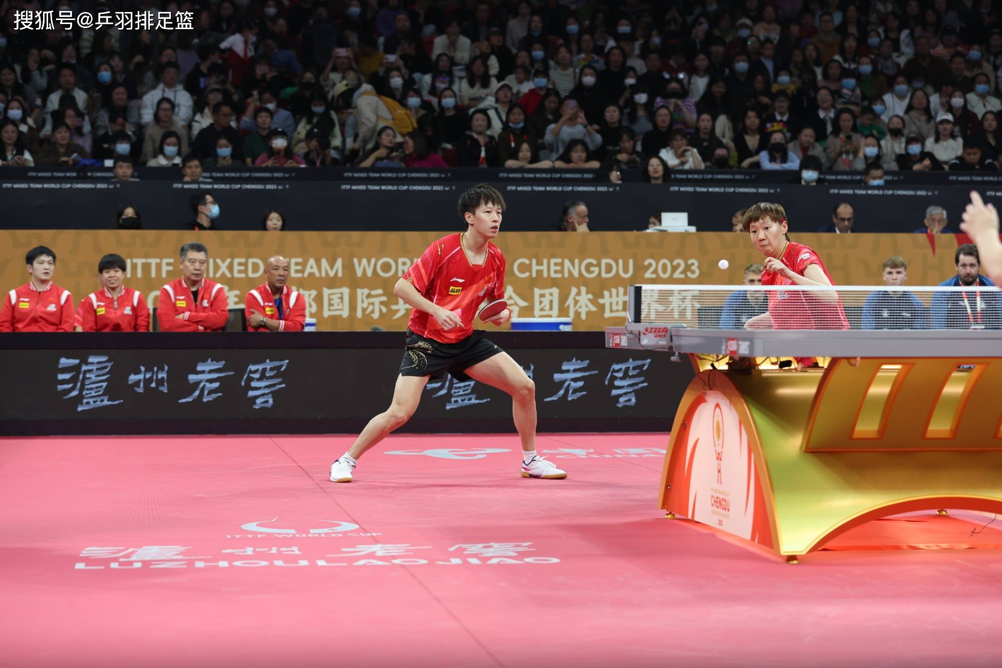 大赞新赛制！乒乓球混合团体世界杯首日：国乒横扫，日韩两连胜！