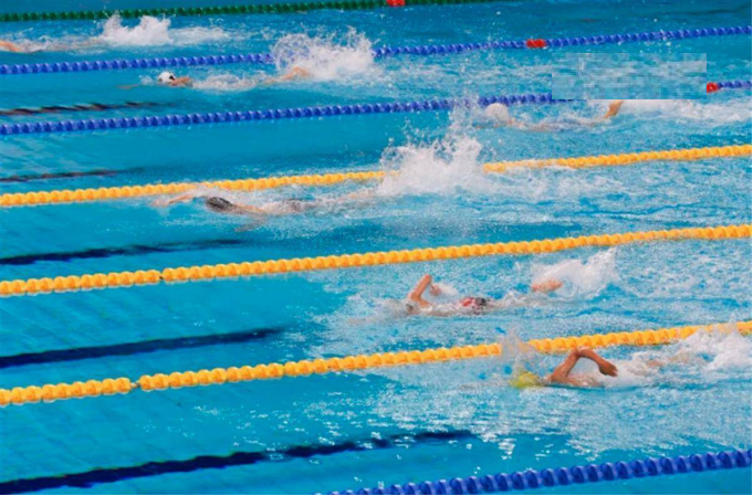 168体育资讯：2024年“新苗杯”选才大会游泳项目预选赛启动！