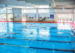 经常游泳，游泳池的氯对人体的危害大吗？