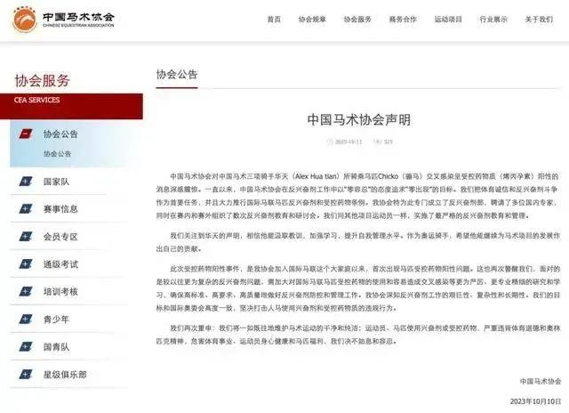 中国马术队被取消奥运资格