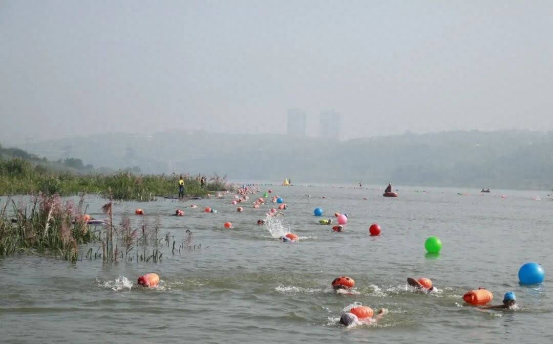 2023重庆广阳岛公开水域游泳赛事暨川渝地区公开水域邀请赛举行
