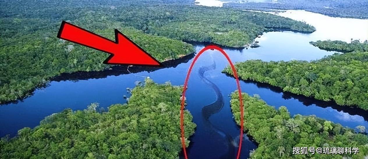 亚马逊河与长江相比，为何亚马逊河这么可怕？无人敢下河游泳？