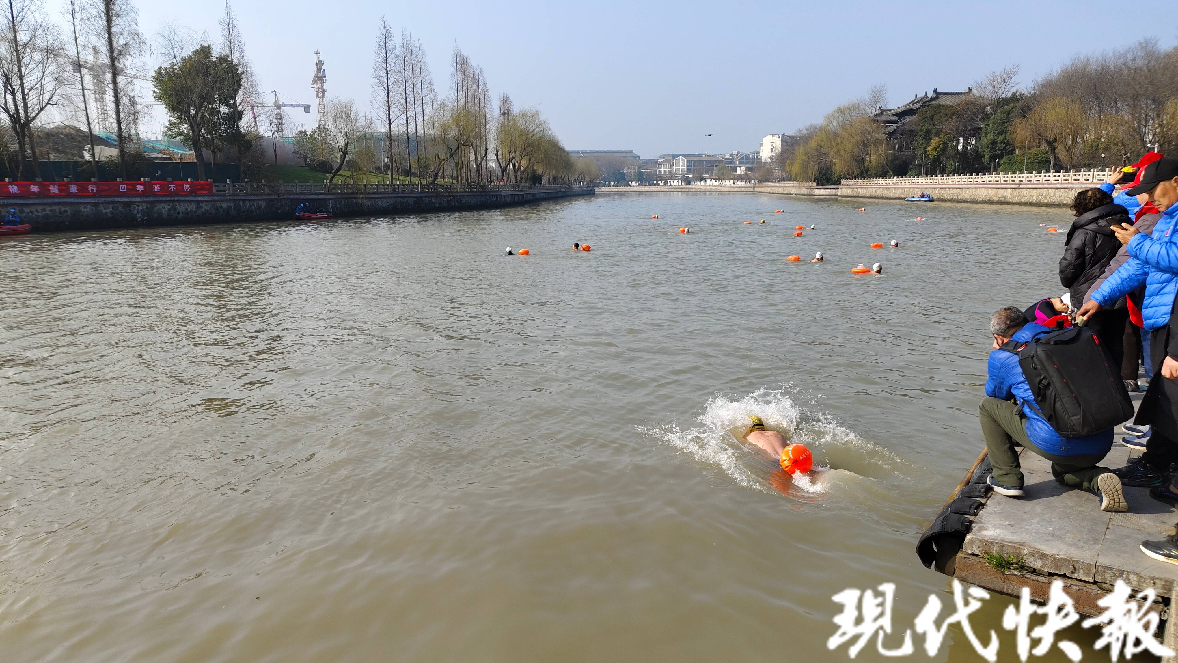 迎接“二月二，龙抬头”，300名游泳健儿畅游扬州古运河
