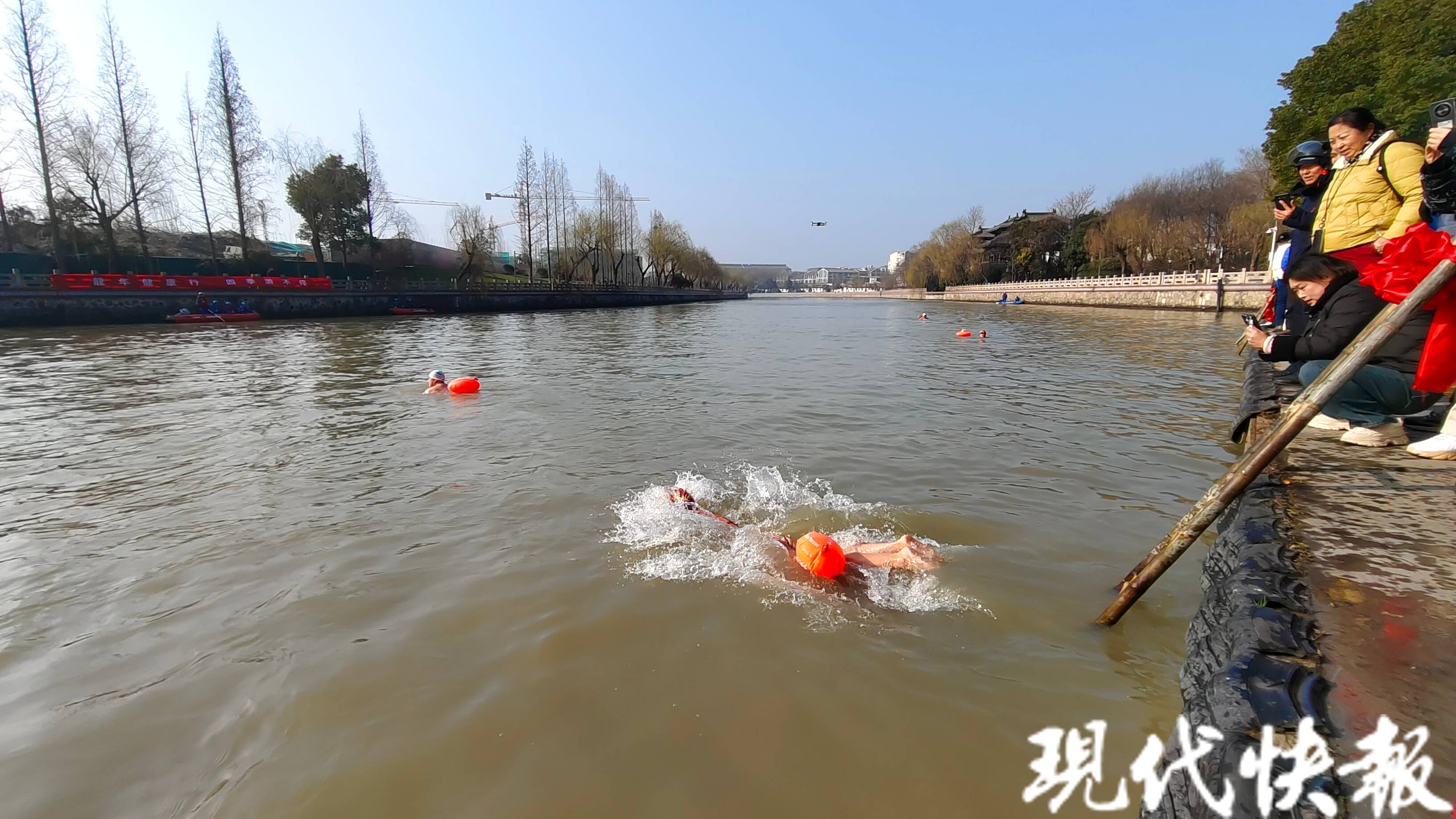迎接“二月二，龙抬头”，300名游泳健儿畅游扬州古运河