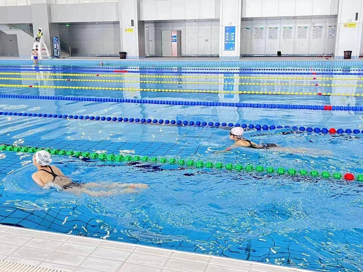 郑州市中小学生游泳锦标赛月底开赛 赛事报名工作全面启动